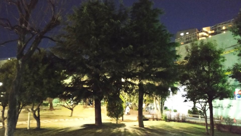 Xiaomi Mi 8 Liteの夜の公園撮影